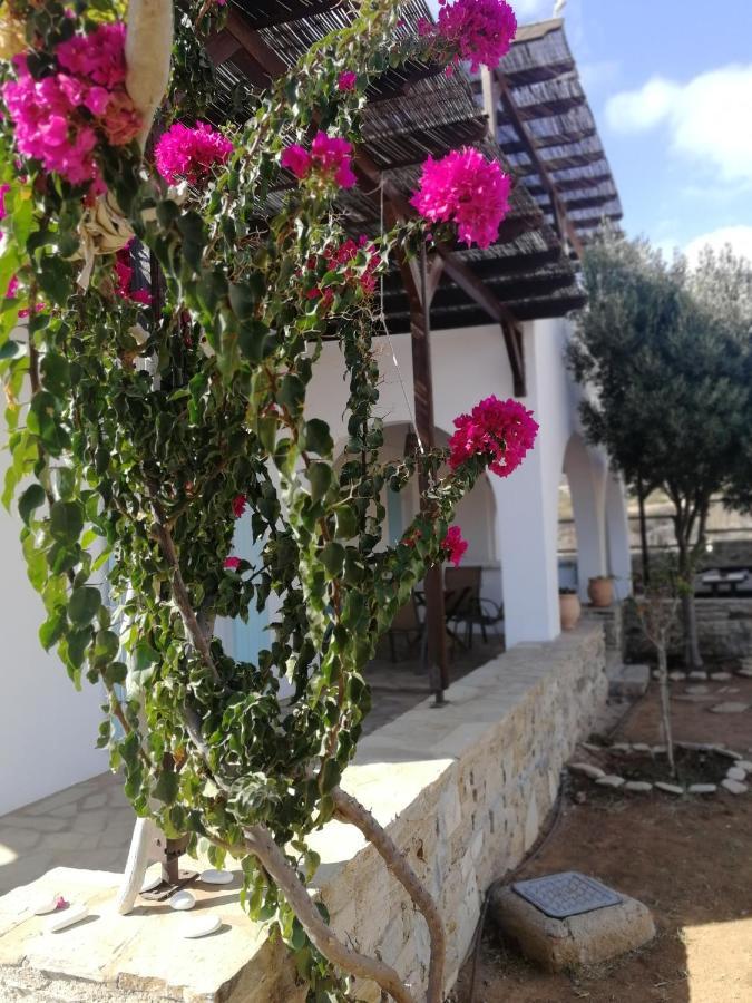 Gio St Gio Apartment 1 Antiparos St.Giorgio المظهر الخارجي الصورة